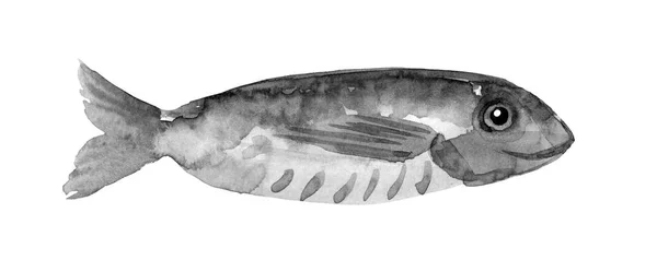 Grunge Watercolor Hand Drawn Fish Watercolor Illustration — Stock Photo, Image