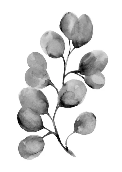 树叶和树枝 手绘植物元素用刷子画 叶子或枝条 在白色背景上分离的草本植物的轮廓 图标花卉元素 — 图库照片