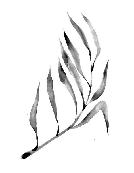 黒と白のヤシの枝 熱帯の葉 白を基調とした水彩画 — ストック写真