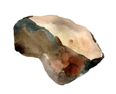 Beyaz arkaplanda suluboya taş.