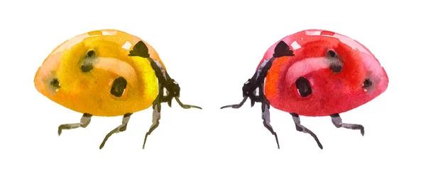 赤と黄色の水彩のてんとう虫 Clipart Ladybirds — ストック写真
