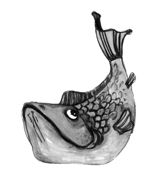Vodnářský Kapr Stříbrný Hypoftalmichthys Molitrix Ručně Kreslené Ryby Ilustrace Izolované — Stock fotografie