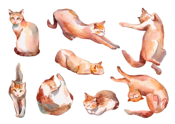 Набор Акварельных Счастливых Красных Кошек Нарисованных Вручную — стоковое фото