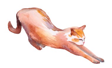 Suluboya şirin, izole kedi ilüstrasyonu. Sevgililer günü kartı için çizgi film kedilerine bayılırım. Yetiştirme sanatı.