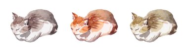 Üç Kedi Uyuyor. Suluboya Resim Çizimi.
