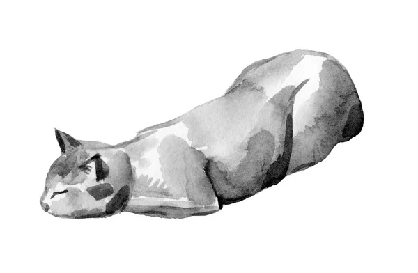 Gato Adormecido Aquarela Tinta Ilustração Desenho Tinta Preta Branca Isolado — Fotografia de Stock