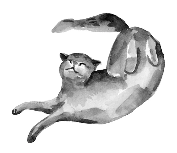 Aquarel Portret Van Slapende Kat Hand Getekend Schilderij — Stockfoto