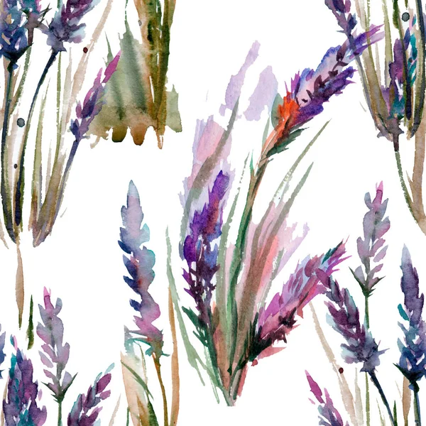 Levandule Květiny Bezešvé Vzor Izolované Bílém Pozadí Akvarel Ručně Kreslení — Stock fotografie