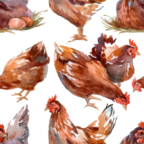 Hand drawn seamless pattern in watercolor. Chickens, baby chick illustrations. Rural natural bird farming.
