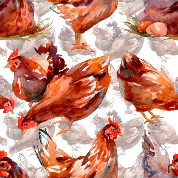 Kyckling Seamless Mönster Vit Bakgrund — Stockfoto