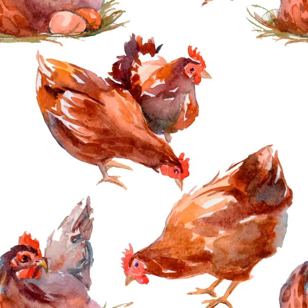 Akvarell Kycklingar Med Kuk Sömlöst Mönster Vit Bakgrund Kreativ Tryck — Stockfoto