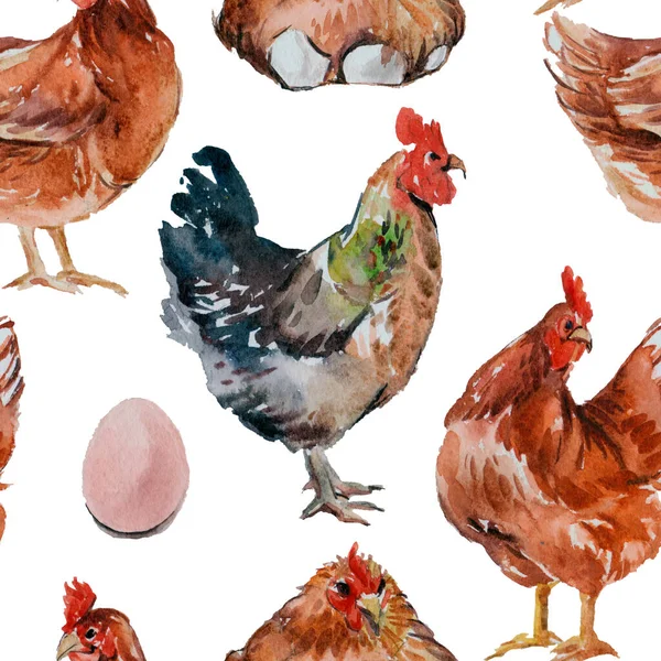 Kyckling Och Tupp Sömlöst Mönster Akvarell Illustration — Stockfoto