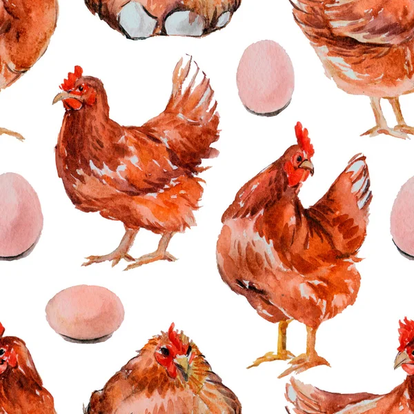 Sömlöst Mönster Med Akvarellhöns Ägg Fjädrar Handritad Illustration Isolerad Vitt — Stockfoto