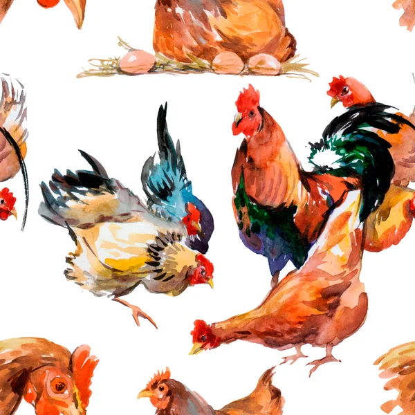 Κοτόπουλα Μοτίβο Ακουαρέλα Και Ένα Κόκορα Ρούστερ Σύμβολο Του Νέου — Φωτογραφία Αρχείου