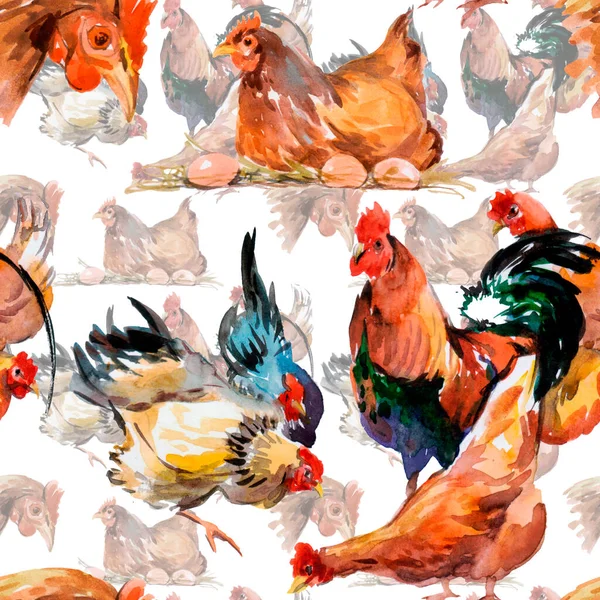 Modele Acuarelă Găini Cocoș Tapet Retro Rustic Simbolul Rooster Noului — Fotografie, imagine de stoc