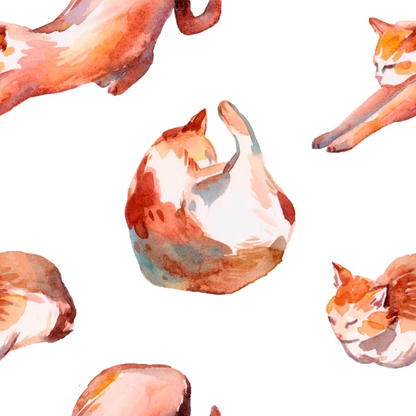 Бесшовный Рисунок Акварельными Красными Кошками Ручной Рисунок Акварелью Выделен Белом — стоковое фото