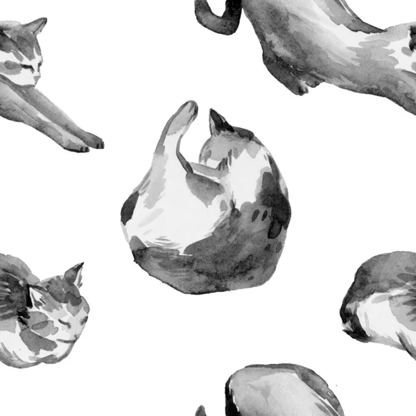 Elegáns Varrat Nélküli Mintát Akvarell Festett Fekete Macskák Design Elemek — Stock Fotó