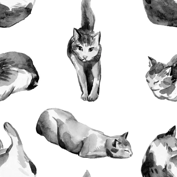 Akvarel Galaxy Kočky Bezešvé Vzor — Stock fotografie