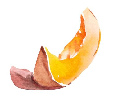 Beyaz bir zemin üzerinde balkabağı diliminin canlı bir suluboya resmi, zengin turuncu renkler ve doğal dokular sergiliyor, sonbaharın sıcaklığını çağrıştırıyor.