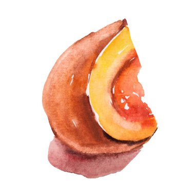 Beyaz arkaplanda balkabağı diliminin parlak suluboya çizimi