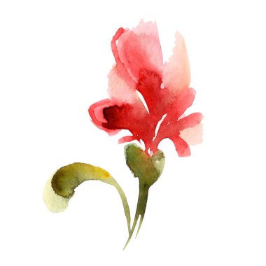 Görüntü, beyaz bir arkaplana karşı karmaşık, yemyeşil bir kırmızı çiçeğin canlı bir suluboya çizimini içeriyor.