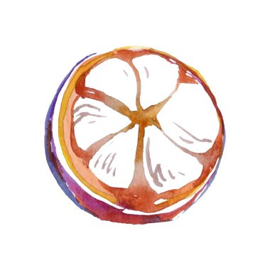 El yapımı, rengarenk bir mangosenk çizimi, canlı mor dış görünüşünü ve kremsi beyaz etini sergiliyor, yiyecekle ilgili tasarımlar ve izler için ideal..