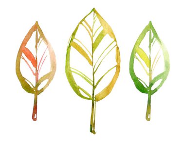 Üç tane renkli dekoratif suluboya yaprak, organik şekiller ve canlı renkler sergiliyor. Doğa temalı tasarımlar, davetiyeler veya kırtasiye için ideal.