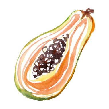 Tohumlu, tropikal cazibe gösteren yarım papayanın elle boyanmış canlı bir çizimi. Gıda tasarımları, sağlıklı yaşam tarzı temaları ve tropikal görseller için ideal..