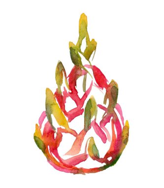 Hand-painted watercolor pitaya (dragon fruit) illustration with vibrant colors and delicate outlines. Decorative and artistic style perfect for tropical themes, packaging, and design projects. clipart