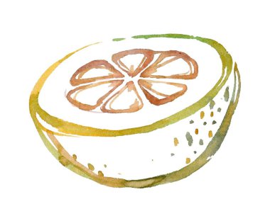 Hand-painted watercolor illustration of a half pomelo with a delicate, linear style and vibrant colors. Perfect for culinary designs, healthy lifestyle themes, and botanical projects. clipart