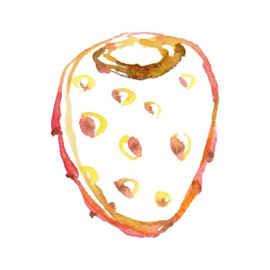 Çizgisel bir kaktüs meyvesinin el yapımı, canlı bir çizimi, kalın renkler ve karmaşık detaylar, botanik temalı tasarımlar, baskılar ve dekorasyon için mükemmel.