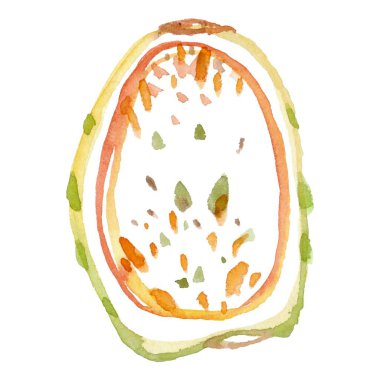 Çizgisel yarım kaktüs meyvesinin güzel el yapımı renkli bir çizimi. Karmaşık detaylarını ve canlı renklerini gözler önüne seriyor. Botanik tasarım ve dekorasyon için mükemmel..
