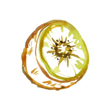 Renkli bir yarım kivinin, canlı yeşil tonların ve detaylı dokuların güzel el yapımı çizimi. Yemek temalı tasarımlar, posterler ve ambalajlar için mükemmel..