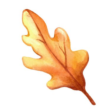 Sıcak sonbahar sarı tonlarında meşe yaprağının elle boyanmış hali. Mevsimlik dekorasyonlar, sonbahar temalı projeler, tebrik kartları ve doğadan esinlenilmiş tasarımlar için mükemmel..