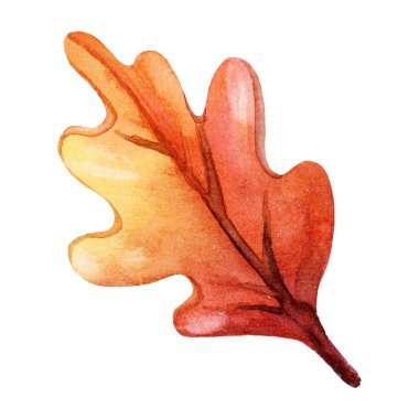 Handcrafted watercolor illustration of an oak leaf in warm autumn hues. Vibrant shades of orange, yellow, and brown create an organic and artistic seasonal design, perfect for fall-themed projects. clipart