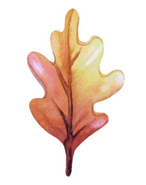 Sıcak sonbahar tonları ve dokulu organik detaylarla dolu canlı bir turuncu meşe yaprağının el boyası çizimi. Mevsimlik tasarımlar, doğa temaları ve yaratıcı projeler için mükemmel..