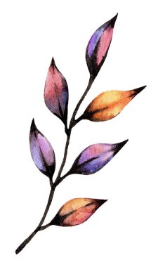 Siyah, turuncu, mor ve pembe renkli yaprakları olan canlı bir dal, doğanın ilham verici tasarımlarına renkli ve canlı bir bakış sunuyor..