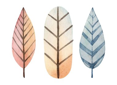 Çok renkli dekoratif yapraklardan oluşan güzel bir koleksiyon, çeşitli renklerde doğal elementleri barındıran modern ve sanatsal tasarımlar için mükemmel..