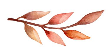 Yumuşak çizgilere sahip narin bir dal, çeşitli sıcak turuncu, kahverengi ve pembe renklerde yapraklar sergiler. Bu sanat eseri sonbaharın özünü yakalıyor, doğanın güzelliğini ve basitliğini vurguluyor..