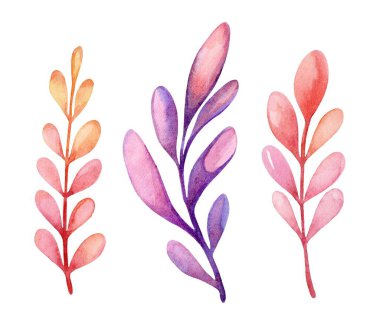 Yaprakların suluboya çizimleri turuncu, pembe ve mor gibi canlı renkler sergiliyor. Bu botanik tasarımlar akışkan çizgiler ve şekillerle sanatsal yaratıcılık sergiliyor..