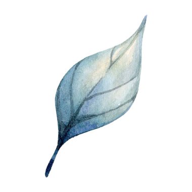 Tek bir suluboya yaprak yumuşak mavi tonlar ve ince gölgeleme ile gösterilmiştir. Damarların karmaşık detayları doğal elementlerin zarafetini vurgular..