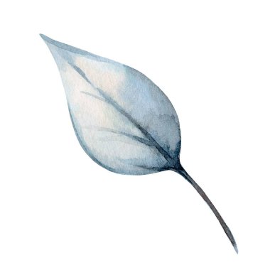 Yumuşak mavi yaprak illüstrasyonu karmaşık damarlar ve ince bir eğri içerir. Boyalı bir ortamda doğanın zarafetini vurgular..