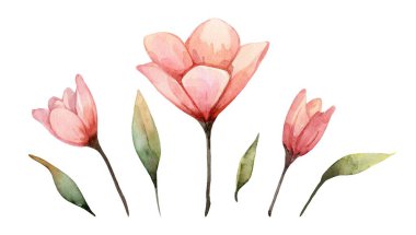 Bu sanat eserleri, zarif bir kompozisyon oluşturan, beyaz bir zemine karşı güzelce hazırlanmış ince yeşil yapraklarla birlikte büyüleyici pembe çiçek koleksiyonunu içeriyor..