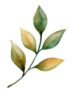 Bu sanat eserinde zarif şekilli yapraklar, yeşil tonlarda ve ince kahverengi ipuçları, dingin ve doğal bir estetik sergiliyor..