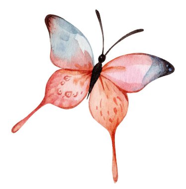 Bu narin sanat eserinde mavi ve pembe kanatları olan bir kelebek, karmaşık desenler sergiliyor ve basit bir arkaplana karşı nazik bir zarafet sergiliyor..