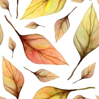 Turuncu, sarı ve kahverengi yumuşak renkler, beyaz arka planda yüzen çeşitli yaprakları betimler. Bu tasarım sonbaharın özünü ve doğanın güzelliğini yakalar..