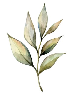 Bu suluboya sanat eserinde çeşitli yeşil yapraklı tek bir gövde gösteriliyor, renklerin ve yumuşak kenarların nazik bir karışımını vurguluyor, doğal dekor veya sanatsal ilham için mükemmel..