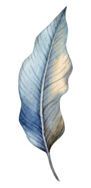 Bir yaprağın narin suluboya çizimi zarif kıvrımlarını ve ince eğimlerini vurgular. Yumuşak renkler, doğanın güzelliğini vurgulayan sakin bir atmosfer yaratır..