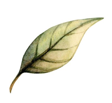 Bu sanat eserinde karmaşık detaylarla güzel yapılmış yeşil bir yaprak var. Yumuşak renkler ve narin çizgiler yaprağın doğal güzelliğini ve şeklini vurgular..