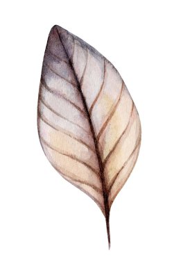 A delicate watercolor illustration features a single leaf with intricate vein patterns. The colors blend softly, showcasing a gentle transition from light to dark hues, emphasizing its natural beauty. clipart